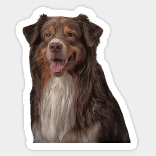 Dog breed Australian Shepherd Sticker